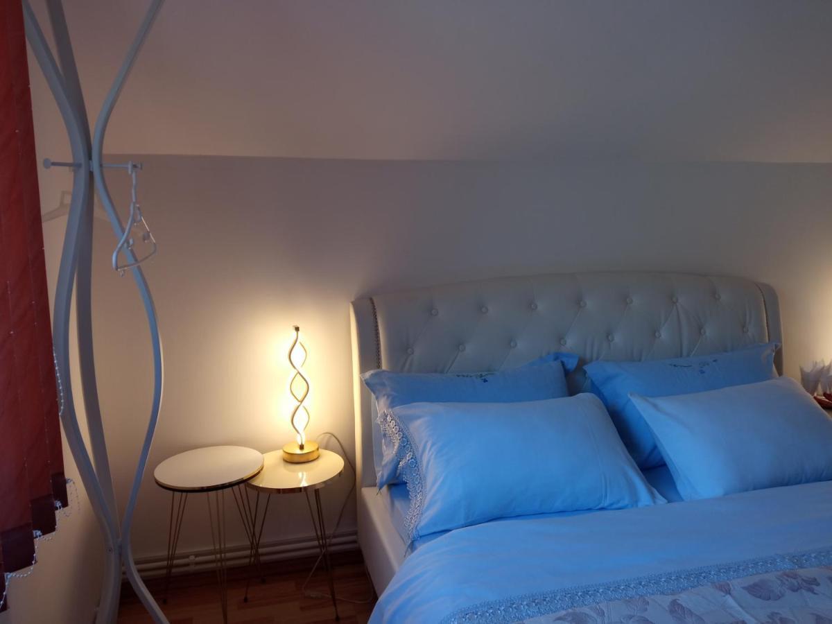 피아트라네암츠 Casa Irina 빌라 외부 사진