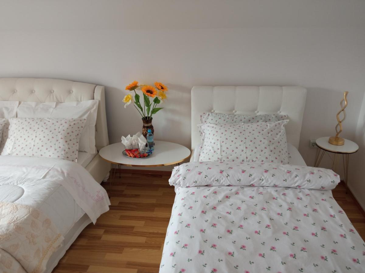 피아트라네암츠 Casa Irina 빌라 외부 사진