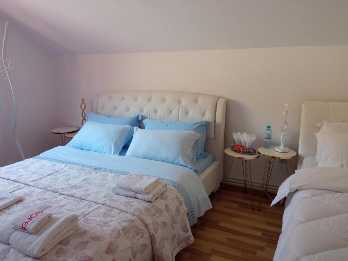 피아트라네암츠 Casa Irina 빌라 외부 사진