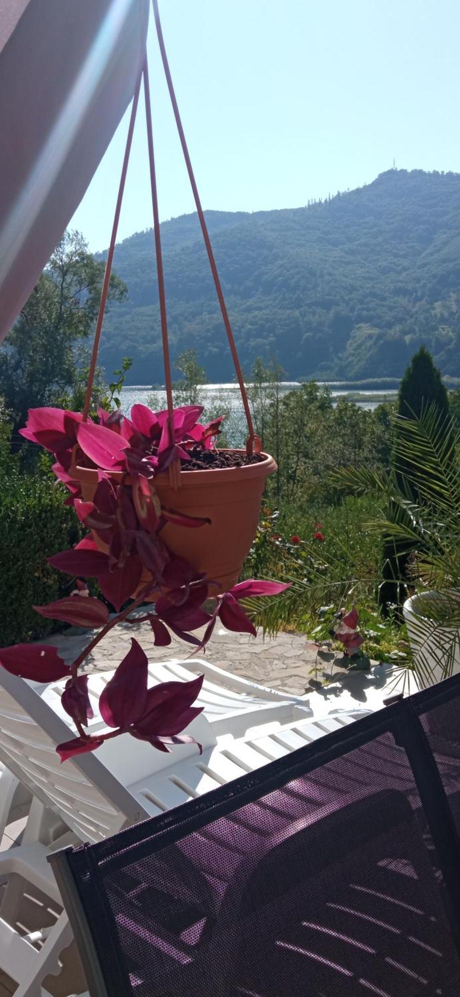 피아트라네암츠 Casa Irina 빌라 외부 사진